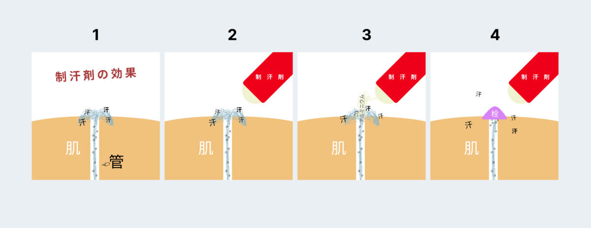 制汗剤　デオドラント　とは　仕組み how deodorants and antiaspirants work