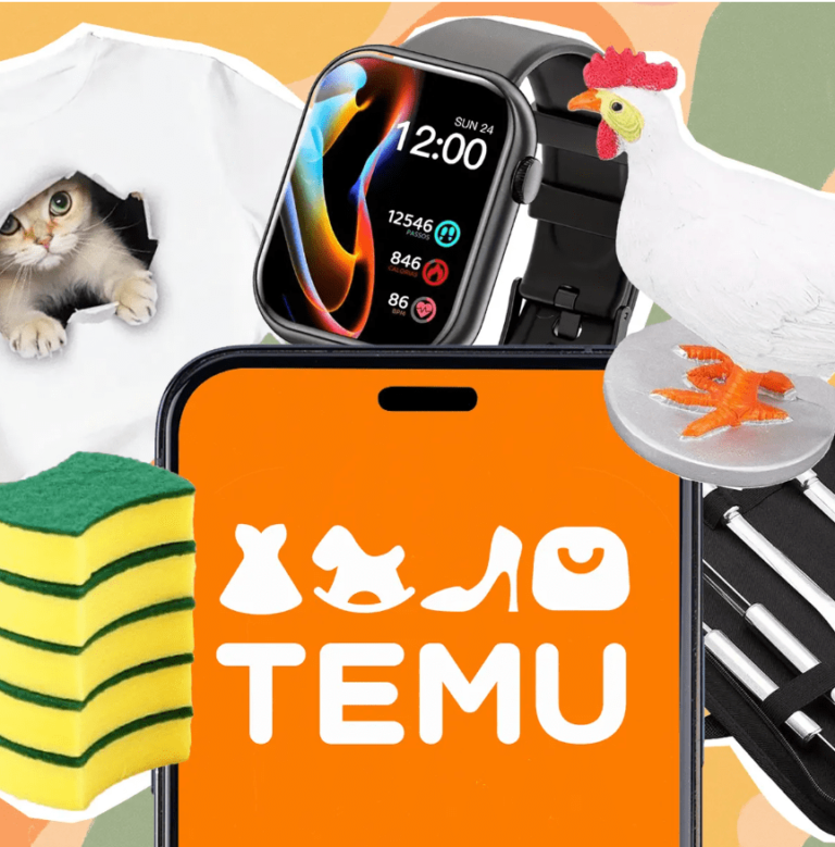 Temuアプリの仕組みとおすすめ商品
